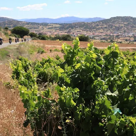 Abuela Benita * Cebreros