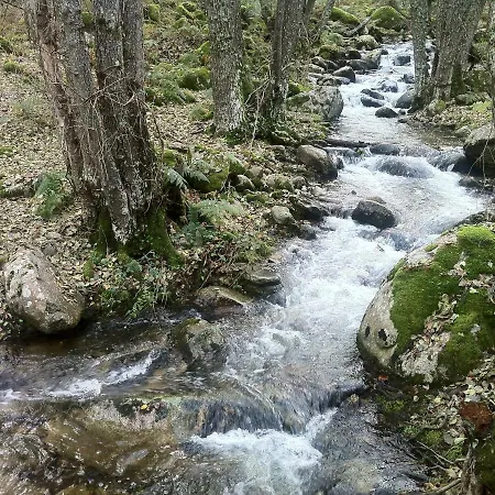 Appartement Abuela Benita *