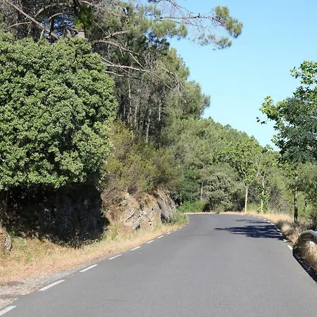 Apartamento Abuela Benita *