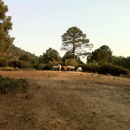 Abuela Benita Appartement *