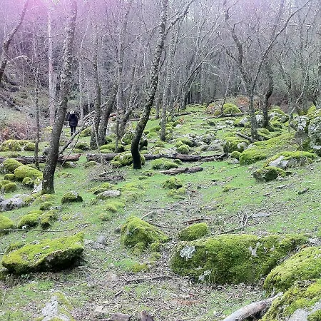 Abuela Benita Appartement *