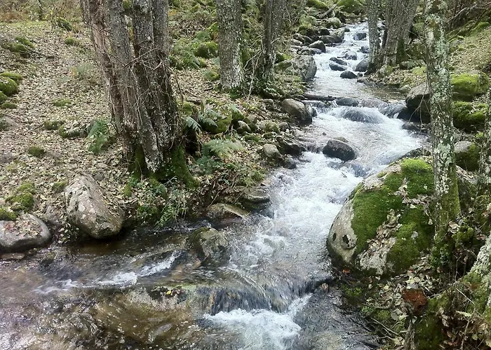 Apartment Abuela Benita *