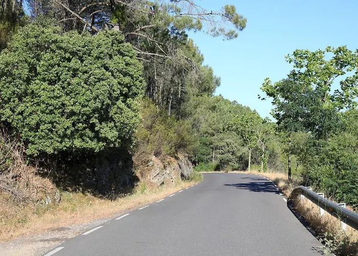 Apartment Abuela Benita *