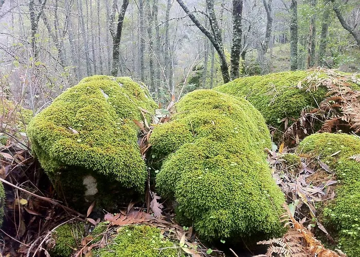Abuela Benita * Cebreros