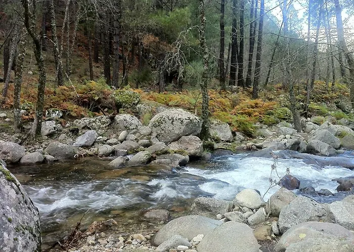 Abuela Benita Apartment Cebreros