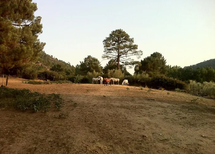 Abuela Benita Apartment *